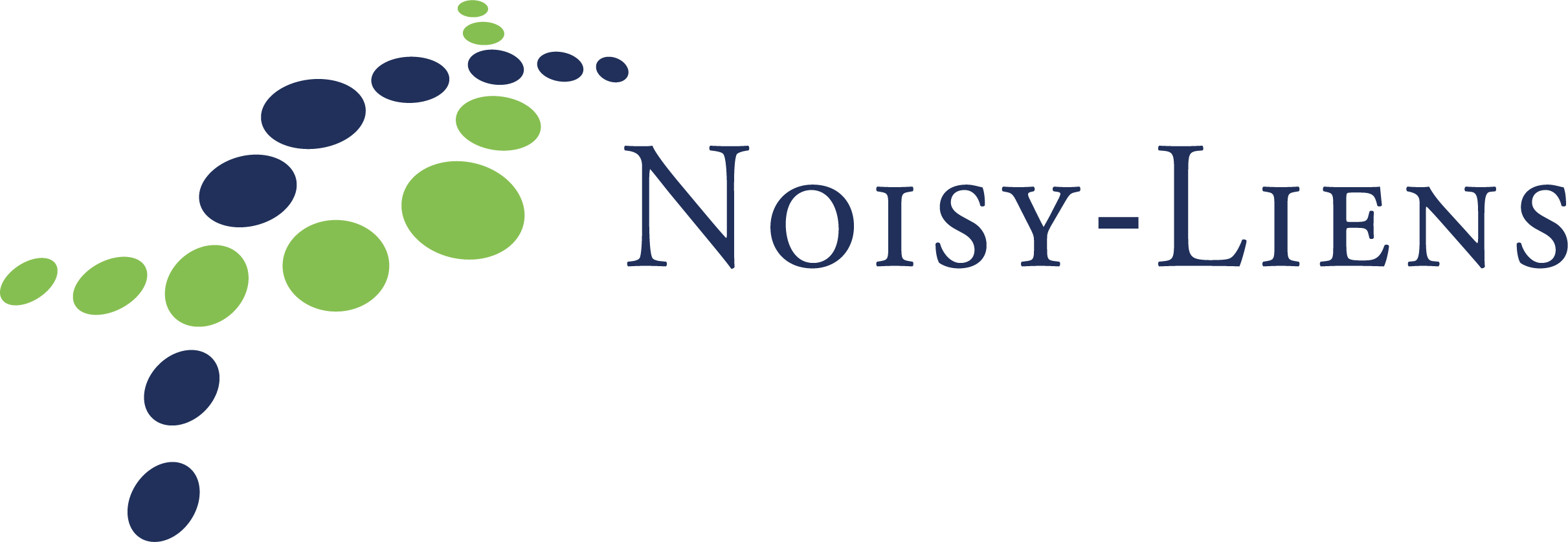 Noisy-Liens